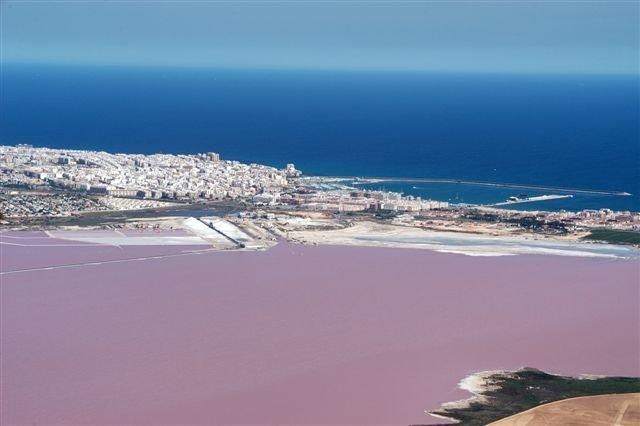 Apartment Parquemar La Mata  Værelse billede